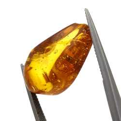 9,75 ct Ámbar con insecto cabujón 24,47 x 13,19 x 9,71 mm