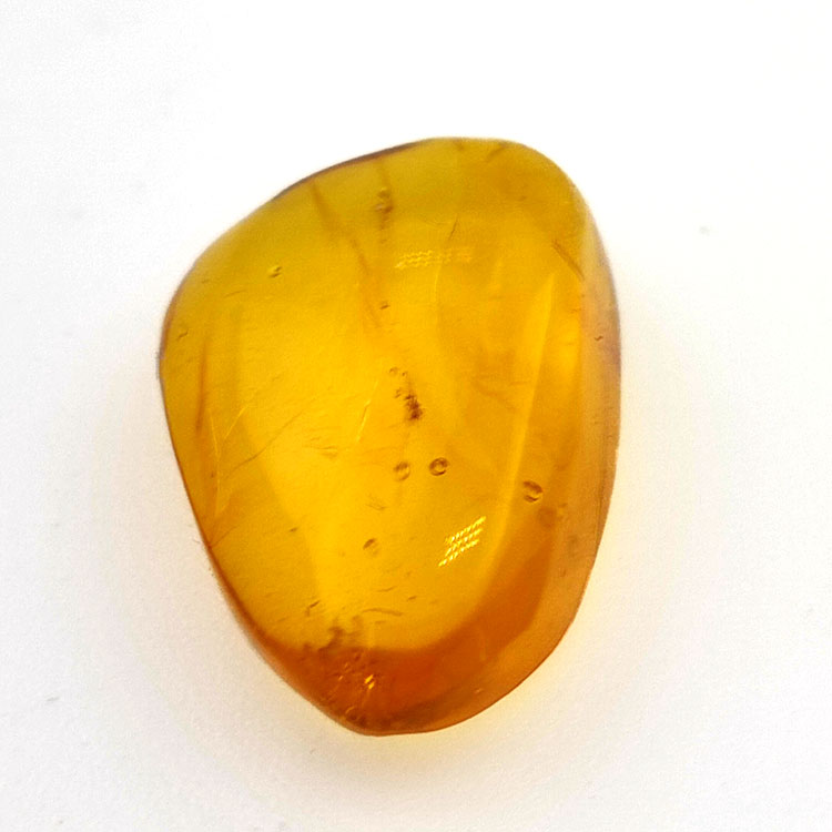 6,25 ct Amber with cabochon insect 20,00 x 13,42 x 7,40 mm
