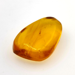 6,25 ct Ámbar con insecto cabujón 20,00 x 13,42 x 7,40 mm