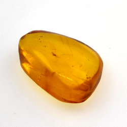 6,25 ct Ámbar con insecto cabujón 20,00 x 13,42 x 7,40 mm