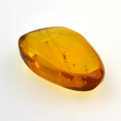 6,25 ct Ambre avec insecte cabochon 20,00 x 13,42 x 7,40 mm