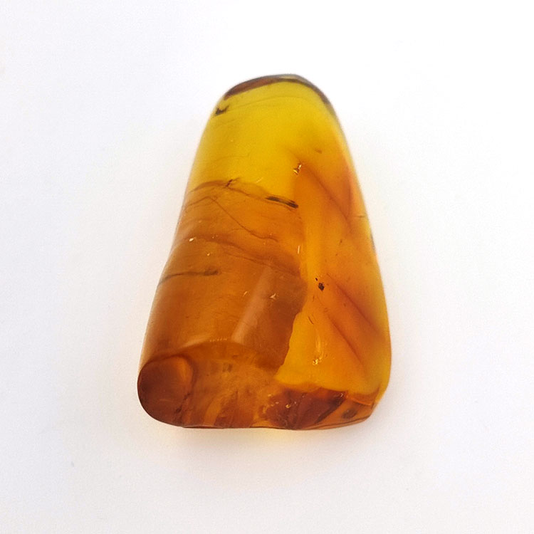 31,36 ct Ambre avec insecte cabochon 41,14 x 25,96 x 18,42 mm