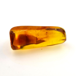 31,36 ct Ámbar con insecto cabujón 41,14 x 25,96 x 18,42 mm