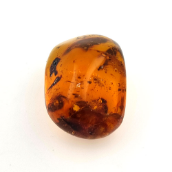 45,88 ct Ambre avec insecte cabochon 33,57 x 23,51 x 20 mm