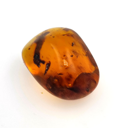 45.88 ct Amber with insect cabochon 33.57 x 23.51 x 20 mm