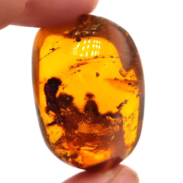 45,88 ct Ámbar con insecto cabujón 33,57 x 23,51 x 20 mm