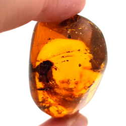 45,88 ct Ámbar con insecto cabujón 33,57 x 23,51 x 20 mm