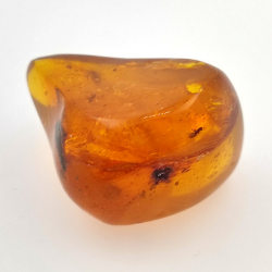 64.77 ct Amber with insect cabochon 38.63 x 30.64 x 21.13 mm
