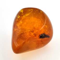 64,77 ct Ámbar con insecto cabujón 38,63 x 30,64 x 21,13 mm