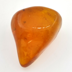 64.77 ct Amber with insect cabochon 38.63 x 30.64 x 21.13 mm