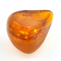 64,77 ct Ámbar con insecto cabujón 38,63 x 30,64 x 21,13 mm