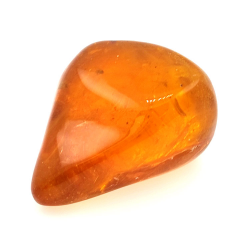 64,77 ct Ámbar con insecto cabujón 38,63 x 30,64 x 21,13 mm