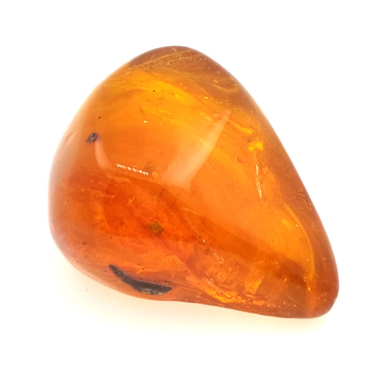 64,77 ct Bernstein mit Cabochon-Insekt 38,63 x 30,64 x 21,13 mm
