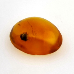 1.67 ct Amber with insect cabochon 12.80 x 10.20 x 4.51 mm