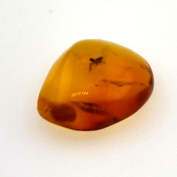 1,67 ct Ámbar con insecto cabujón 12.80 x 10,20 x 4,51 mm