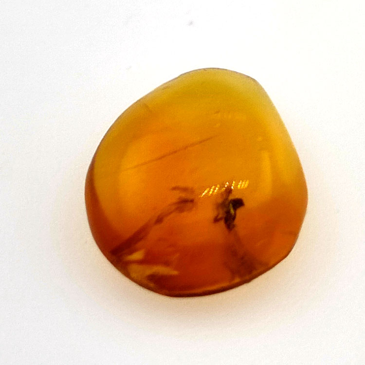 1,67 ct Ámbar con insecto cabujón 12.80 x 10,20 x 4,51 mm