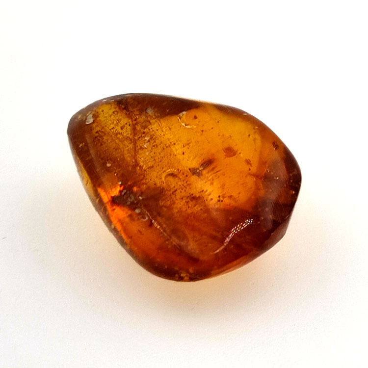 6,58 ct Ámbar con insecto cabujón 19,15 x 15,02 x 7,84 mm
