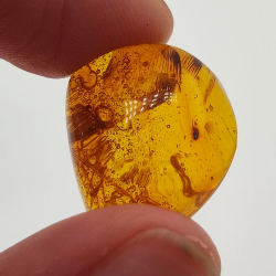 6,58 ct Ámbar con insecto cabujón 19,15 x 15,02 x 7,84 mm