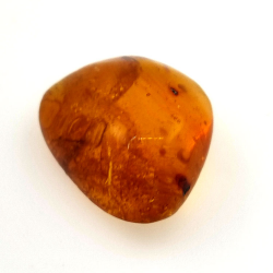 6,58 ct Ámbar con insecto cabujón 19,15 x 15,02 x 7,84 mm