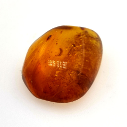 6,58 ct Ámbar con insecto cabujón 19,15 x 15,02 x 7,84 mm
