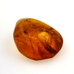 6,58 ct Ámbar con insecto cabujón 19,15 x 15,02 x 7,84 mm