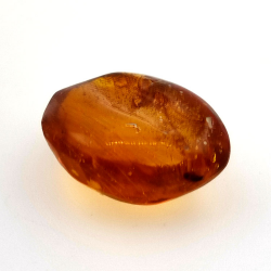 6.58 ct Amber with insect cabochon 19.15 x 15.02 x 7.84 mm
