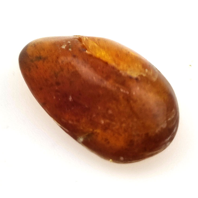 6.66 ct Amber with insect cabochon 23.12 x 13.62 x 7.85 mm