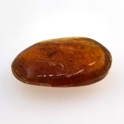 6,66 ct Ambre avec insecte cabochon 23,12 x 13,62 x 7,85 mm