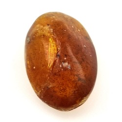6.66 ct Amber with insect cabochon 23.12 x 13.62 x 7.85 mm