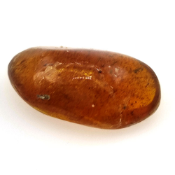 6,66 ct Bernstein mit Cabochon-Insekt 23,12 x 13,62 x 7,85 mm