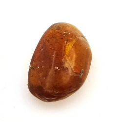 6.66 ct Amber with insect cabochon 23.12 x 13.62 x 7.85 mm