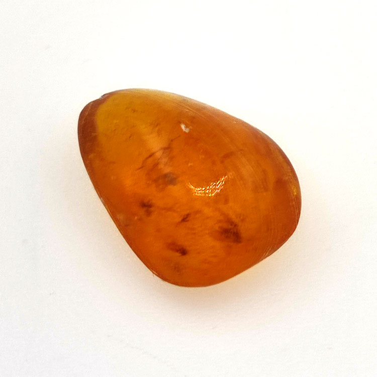 3.10 ct Amber with insect cabochon 15.39 x 11.37 x 6.66 mm