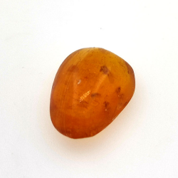 3.10 ct Amber with insect cabochon 15.39 x 11.37 x 6.66 mm