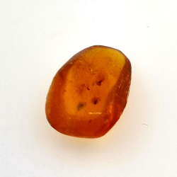 3.10 ct Amber with insect cabochon 15.39 x 11.37 x 6.66 mm