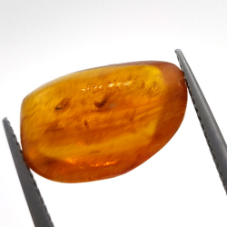 3,10 ct Ámbar con insecto cabujón 15,39 x 11,37 x 6,66 mm