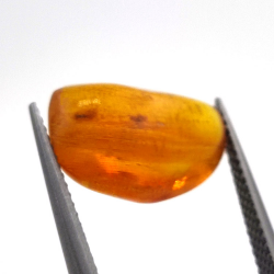 3,10 ct Bernstein mit Cabochon-Insekt 15,39 x 11,37 x 6,66 mm