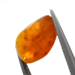 3,10 ct Ámbar con insecto cabujón 15,39 x 11,37 x 6,66 mm
