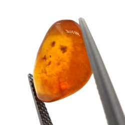 3,10 ct Bernstein mit Cabochon-Insekt 15,39 x 11,37 x 6,66 mm
