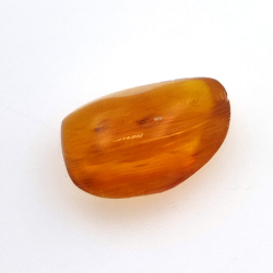 3.10 ct Amber with insect cabochon 15.39 x 11.37 x 6.66 mm
