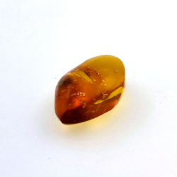 4,43 ct Ámbar con escarabajo en cabujón 16,85 x 10,82 x 7,24 mm