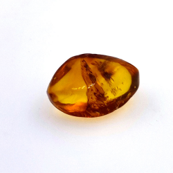4,43 ct Ámbar con escarabajo en cabujón 16,85 x 10,82 x 7,24 mm