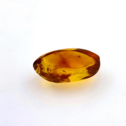 4.43 ct Amber with beetle in cabochon 16.85 x 10.82 x 7.24 mm