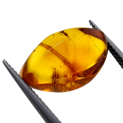 4,43 ct Ámbar con escarabajo en cabujón 16,85 x 10,82 x 7,24 mm