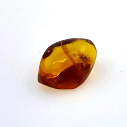 4,43 ct Ámbar con escarabajo en cabujón 16,85 x 10,82 x 7,24 mm