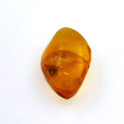 4,43 ct Ámbar con escarabajo en cabujón 16,85 x 10,82 x 7,24 mm
