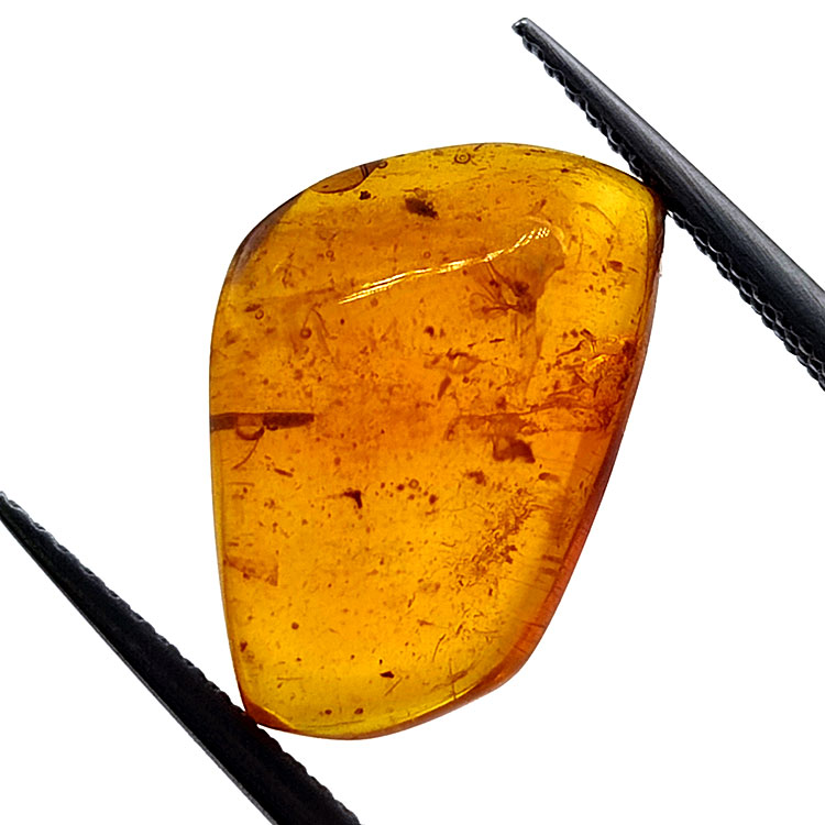 2,77 ct Ámbar con insecto cabujón 15,22 x 12,73 x 5,60 mm