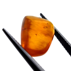 2,77 ct Ámbar con insecto cabujón 15,22 x 12,73 x 5,60 mm