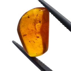 2,77 ct Ámbar con insecto cabujón 15,22 x 12,73 x 5,60 mm