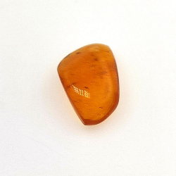 2,77 ct Ámbar con insecto cabujón 15,22 x 12,73 x 5,60 mm