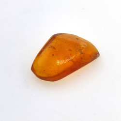 2,77 ct Ámbar con insecto cabujón 15,22 x 12,73 x 5,60 mm